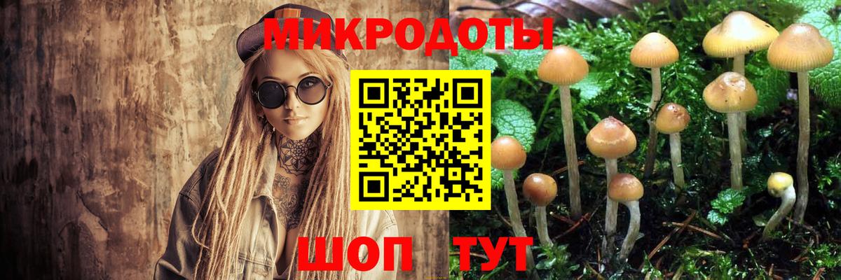 Галлюциногенные грибы MAGIC MUSHROOMS  Галлюциногенные грибы Psilocybine cubensis  Ликино-Дулёво  Вход с VPN 